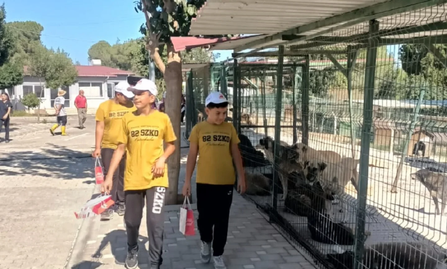 Büyükşehir sokak canlılarını korumak için ilgili sivil toplum kuruluşlarıyla işbirliğini sürdürüyor